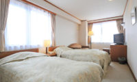 Niseko Park Hotel Twin Bedroom with TV | Upper Hirafu