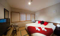 Luna Hotel Bedroom with TV | Upper Wadano