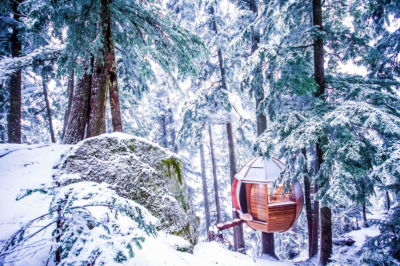 6-star Treehouse Suites Coming to Niseko