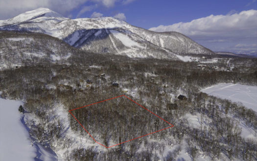 Stone Circle Forest Land
