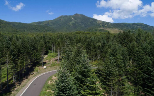 Niseko Annupuri Residences Lot: 17