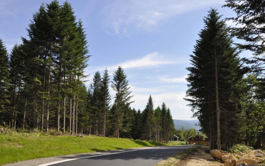 Niseko Annupuri Residences Lot: 17