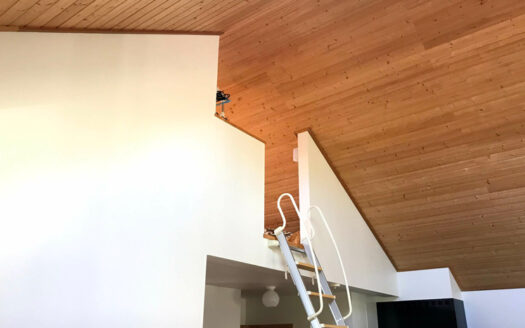 Developer`s Office-House with Mt. Youtei views