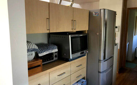 Developer`s Office-House with Mt. Youtei views