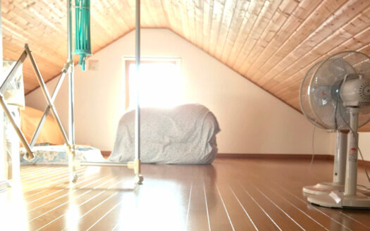 Developer`s Office-House with Mt. Youtei views