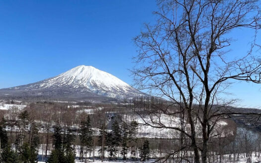 Riverland with Panoramic Yotei Views