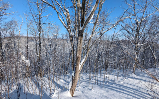 Hanazono North Hills 306-53