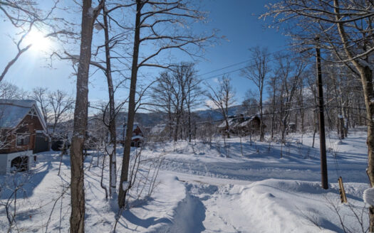 Hanazono North Hills 306-53