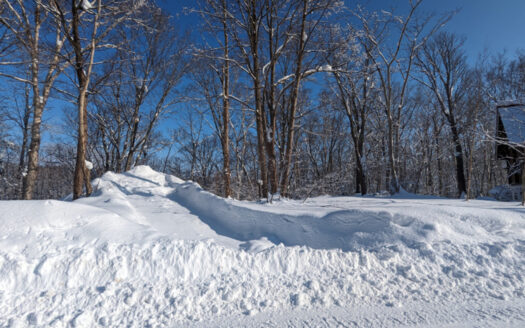 Hanazono North Hills 306-53