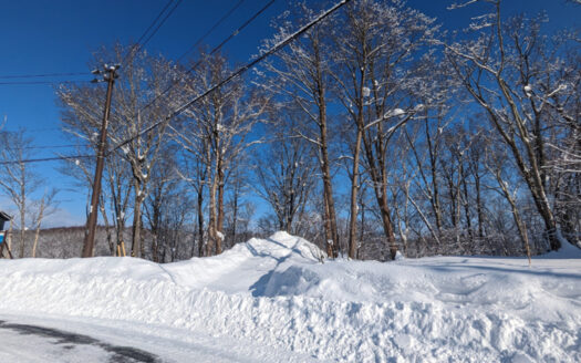 Hanazono North Hills 306-53