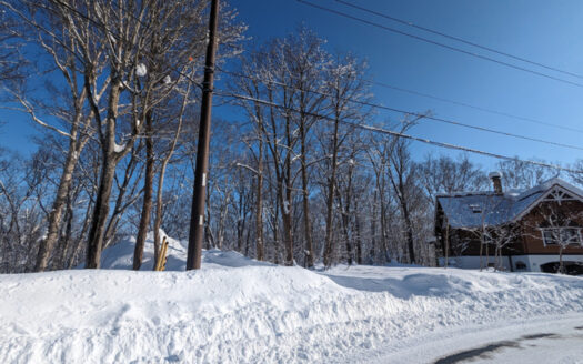 Hanazono North Hills 306-53