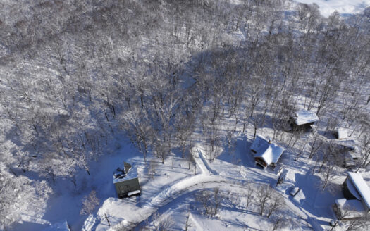 Hanazono North Hills 306-53