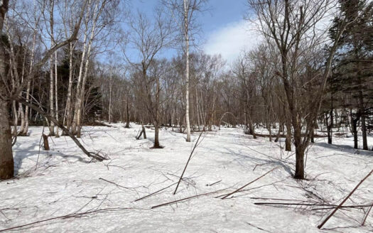 Kabayama 192-11 : Large land