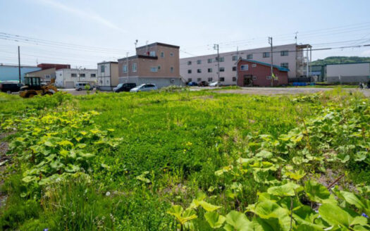 Kutchan Downtown Commercial Block