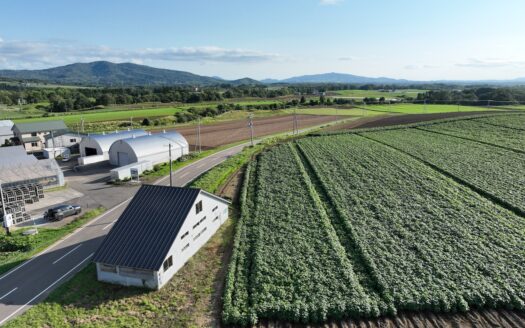 Rusutsu Barn Project