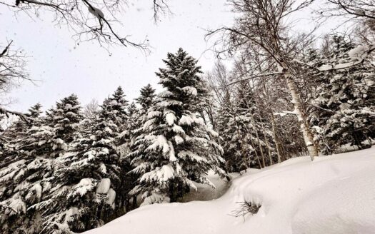 Prime Land in Soga with Unmatched Scenic Outlook