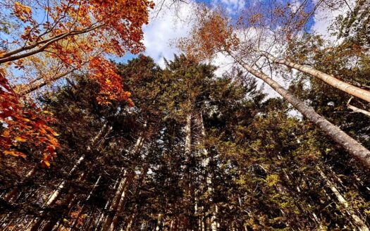 Prime Land in Soga with Unmatched Scenic Outlook