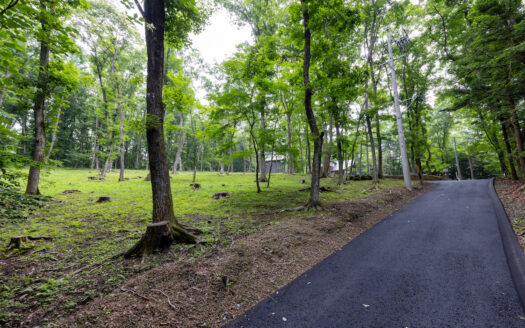 Karuizawa, House-Build Site: 3,115sqm