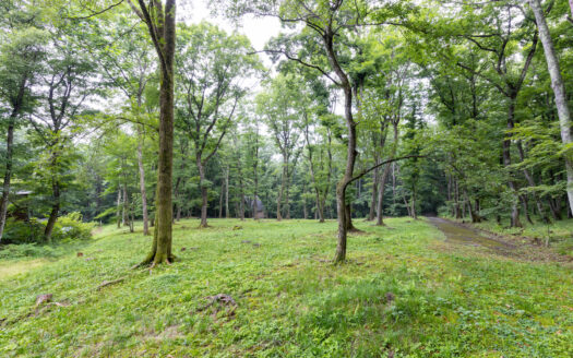 Karuizawa, House-Build Site: 3,115sqm