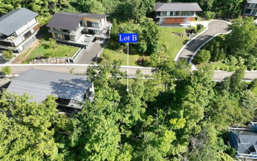 Elevation Hirafu: Lot B