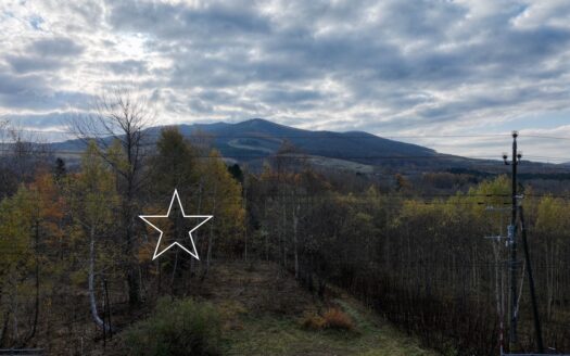 Rusutsu Route 230 Plot: 237sqm