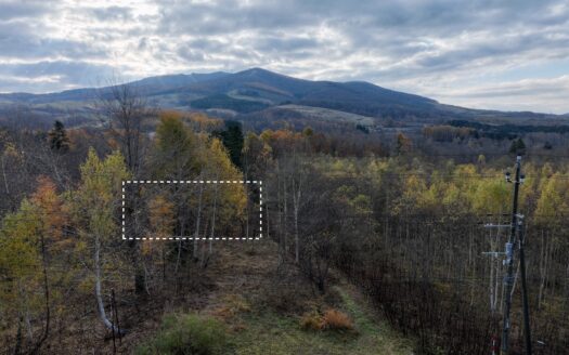 Rusutsu Route 230 Plot: 237sqm