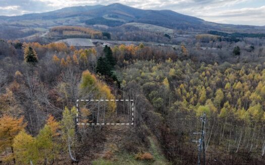 Rusutsu Route 230 Plot: 237sqm