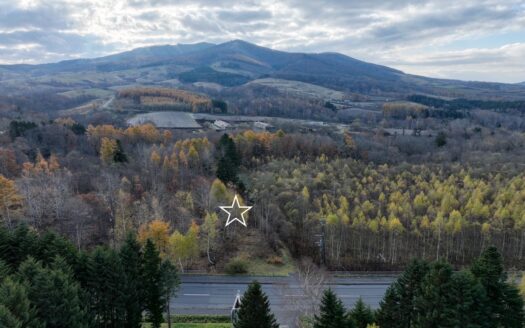 Rusutsu Route 230 Plot: 237sqm