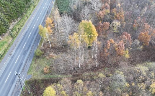 Rusutsu Route 230 Plot: 237sqm