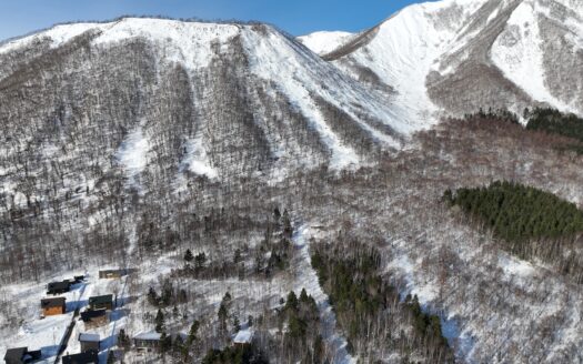 Rusutsu House Build Site: Plot 37-119 & 120 (383sqm)