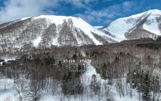 Rusutsu Ski-In House Build Site: Plot 37-119 & 120 (383sqm)