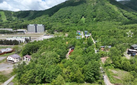 Rusutsu Ski-In House Build Site: Plot 37-119 & 120 (383sqm)