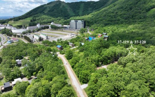 Rusutsu Ski-In House Build Site: Plot 37-119 & 120 (383sqm)