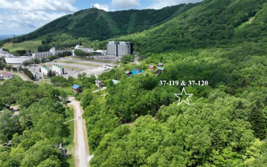 Rusutsu Ski-In House Build Site: Plot 37-119 & 120 (383sqm)