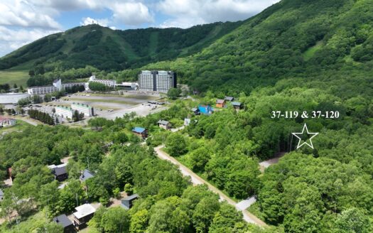 Rusutsu Ski-In House Build Site: Plot 37-119 & 120 (383sqm)