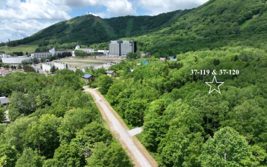 Rusutsu Ski-In House Build Site: Plot 37-119 & 120 (383sqm)