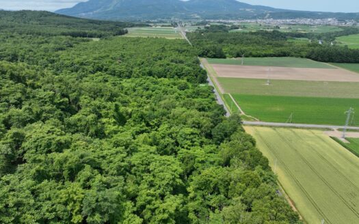Mount Yotei Base – Multi Plot Development Land