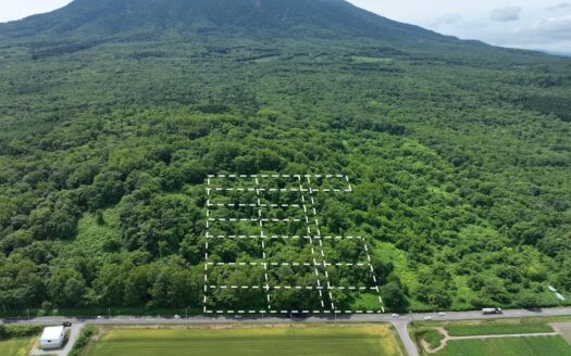 Mount Yotei Base – Multi Plot Development Land
