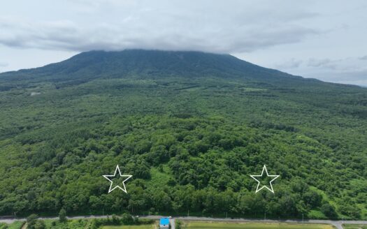 Mount Yotei Base – Multi Plot Development Land