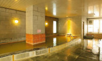 Hotel Niseko Alpen Indoor Onsen Hot Spring Bath | Upper Hirafu