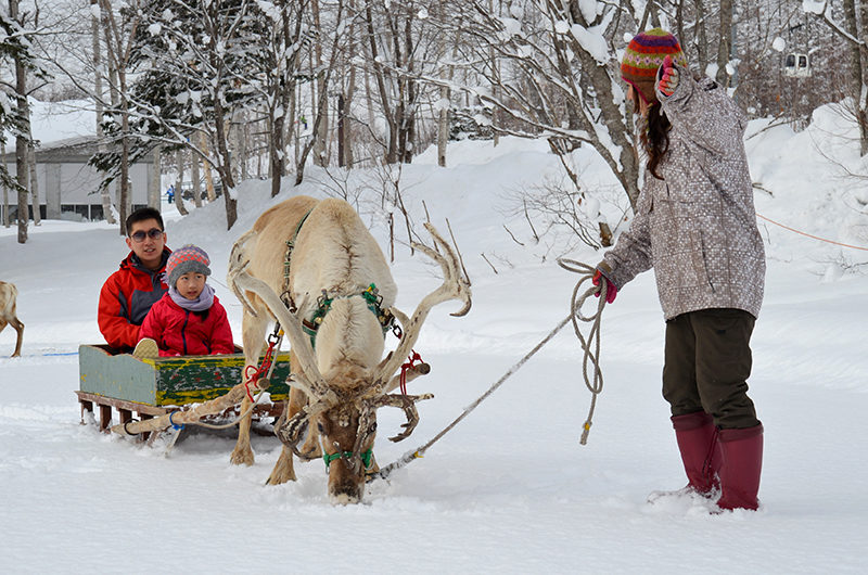 Kasara Townhouses Reindeer Sledding Onsite | Niseko Village