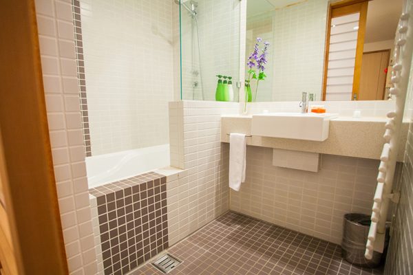 Yuki Yama Apartments Bathroom with Mirror | Middle Hirafu