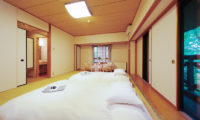 Phoenix Hotel Superior Room | Lower Wadano
