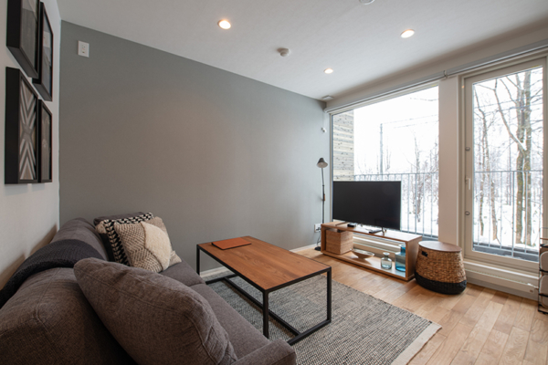 Roku Lounge Room with TV | West Hirafu