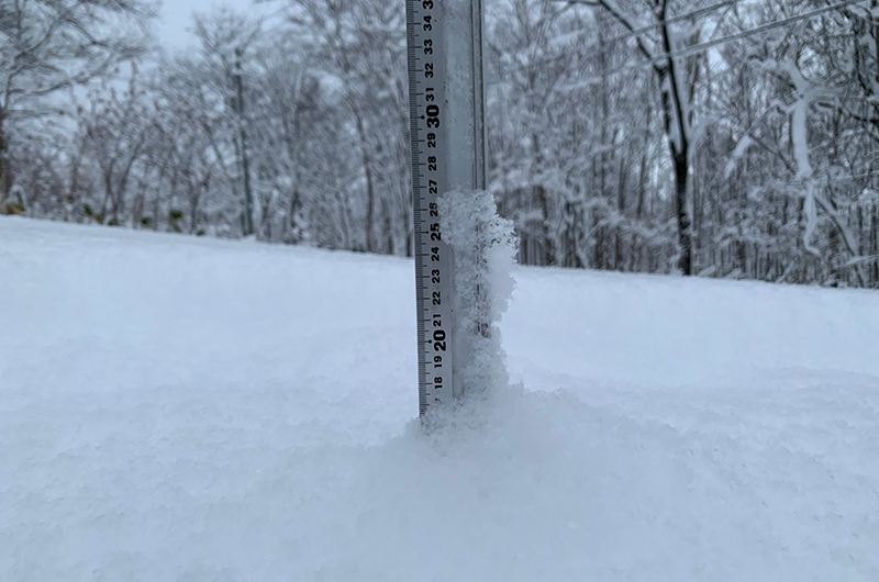 More than 35 cm in 3 days | Powderlife