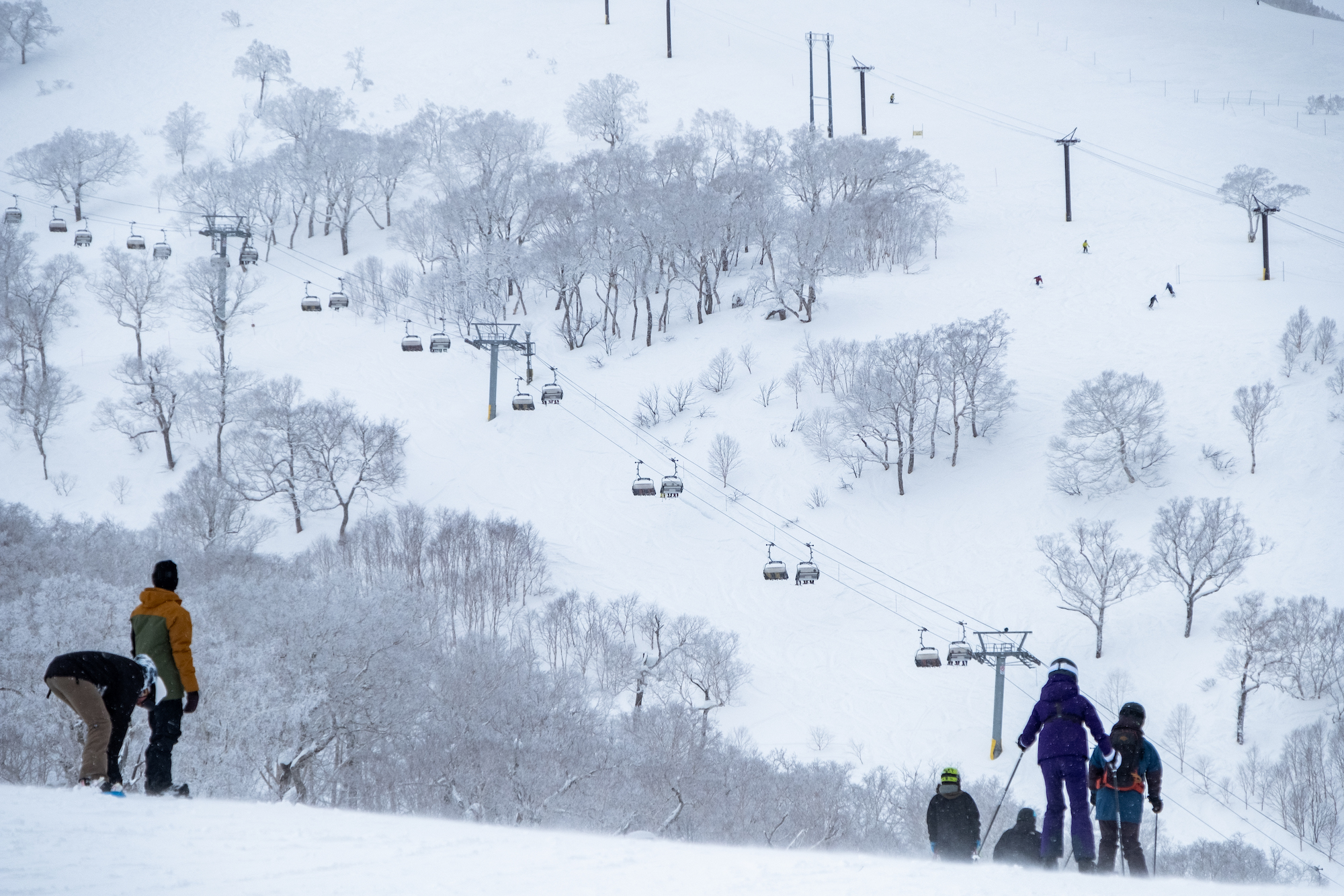 Winter Roars In: Cold, Snowy Start For December In Niseko - Powderlife